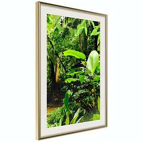 Artgeist Poster Affisch Lungs of the Earth [Poster] 40x60 A3-DRBPRP1495l_zr_pp