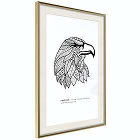 Artgeist Poster Affisch Eagle of Freedom [Poster] 20x30 A3-DRBPRP0803s_zr_pp