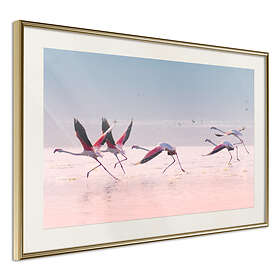 Artgeist Poster Affisch Flamingos Race [Poster] 30x20 A3-DRBPRP0126s_zr_pp