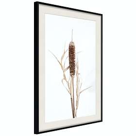 Artgeist Poster Affisch Queen of the Swamps [Poster] 40x60 A3-DRBPRP0822l_cr_pp