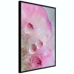 Artgeist Poster Affisch Drops [Poster] 40x60 A3-DRBPRP0896l_cr
