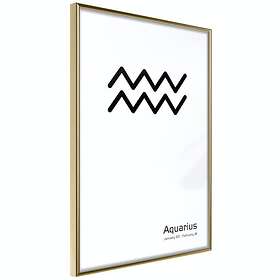 Artgeist Poster Affisch Aquarius [Poster] 40x60 A3-DRBPRP1179l_zr