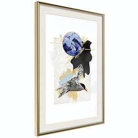 Artgeist Poster Affisch Antarctic Tern [Poster] 30x45 A3-DRBPRP0586m_zr_pp