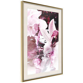 Artgeist Poster Affisch Sleepy Orchid [Poster] 40x60 A3-DRBPRP1346l_zr_pp