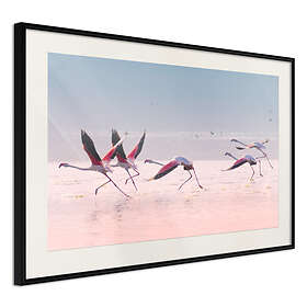 Artgeist Poster Affisch Flamingos Race [Poster] 60x40 A3-DRBPRP0126l_cr_pp