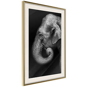 Artgeist Poster Affisch Portrait Of Elephant [Poster] 40x60 A3 ...