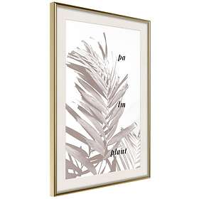 Artgeist Poster Affisch Palm Plant [Poster] 20x30 A3-DRBPRP1280s_zr_pp