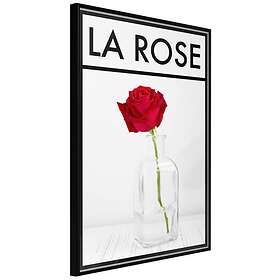 Artgeist Poster Affisch La Rose [Poster] 40x60 A3-DRBPRP1362l_cr