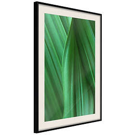 Artgeist Poster Affisch Leaf Texture [Poster] 20x30 A3-DRBPRP0659s_cr_pp