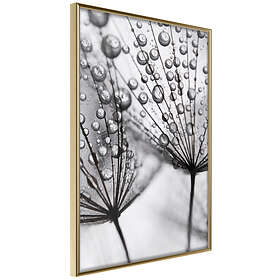 Artgeist Poster Affisch Morning Dew [Poster] 20x30 A3-DRBPRP0545s_zr