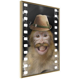 Artgeist Poster Affisch Monkey In Hat [Poster] 20x30 A3-DRBPRP0559s_zr