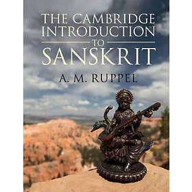 A M Ruppel: The Cambridge Introduction to Sanskrit