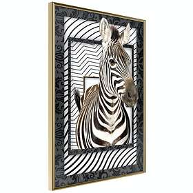 Artgeist Poster Affisch Zebra [Poster] 30x45 A3-DRBPRP0515m_zr