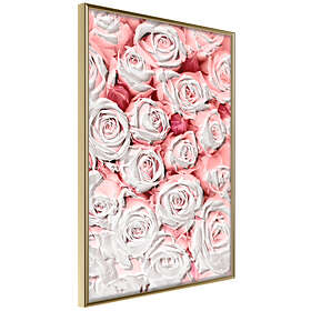 Artgeist Poster Affisch White Roses [Poster] 40x60 A3-DRBPRP0885l_zr