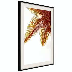 Artgeist Poster Affisch Goldilocks [Poster] 30x45 A3-DRBPRP1494m_cr_pp