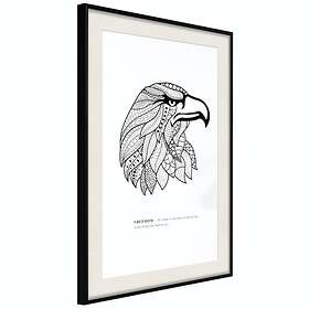 Artgeist Poster Affisch Eagle of Freedom [Poster] 30x45 A3-DRBPRP0803m_cr_pp