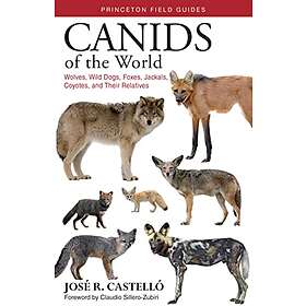 Dr Jose R Castello: Canids of the World