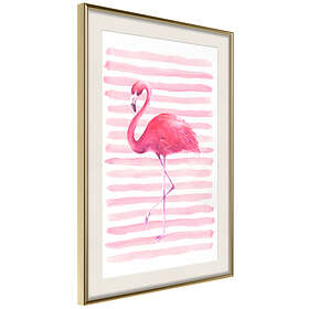 Artgeist Poster Affisch Flamingo and Stripes [Poster] 20x30 A3-DRBPRP0471s_zr_pp