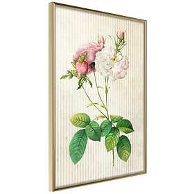 Artgeist Poster Affisch Floristic Chic [Poster] 40x60 A3-DRBPRP1166l_zr