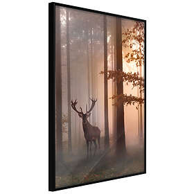 Artgeist Poster Affisch Morning [Poster] 30x45 A3-DRBPRP1059m_cr