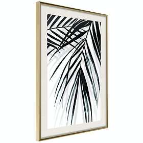 Artgeist Poster Affisch Palm Relax [Poster] 30x45 A3-DRBPRP1025m_zr_pp