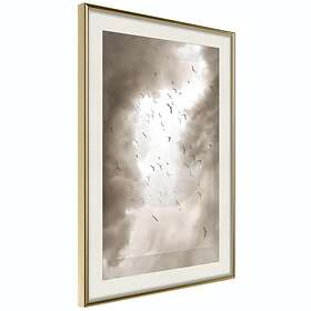 Artgeist Poster Affisch Birds in the Clouds [Poster] 30x45 A3-DRBPRP0840m_zr_pp