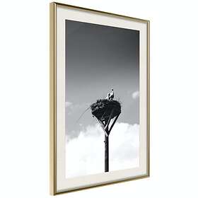 Artgeist Poster Affisch Crow's Nest [Poster] 20x30 A3-DRBPRP1103s_zr_pp