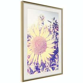 Artgeist Poster Affisch Sunflower [Poster] 40x60 A3-DRBPRP1155l_zr_pp