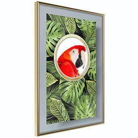 Artgeist Poster Affisch Parrot In The Jungle [Poster] 40x60 A3 ...