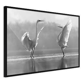 Artgeist Poster Affisch Heron Love [Poster] 60x40 A3-DRBPRP0071l_cr