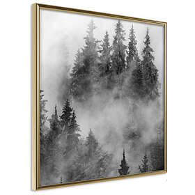 Artgeist Poster Affisch Black Forest [Poster] 20x20 A3-DRBPRP0025_zr