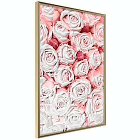 Artgeist Poster Affisch White Roses [Poster] 30x45 A3-DRBPRP0885m_zr