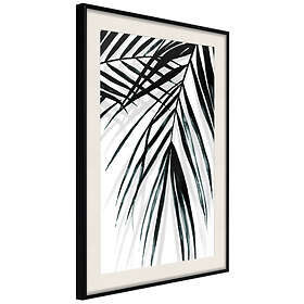 Artgeist Poster Affisch Palm Relax [Poster] 40x60 A3-DRBPRP1025l_cr_pp