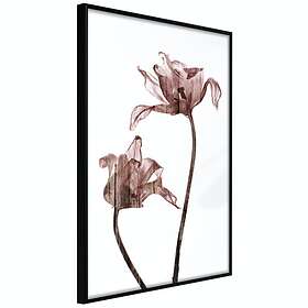 Artgeist Poster Affisch Illuminated Closeness [Poster] 30x45 A3-DRBPRP0855m_cr