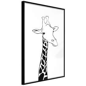 Artgeist Poster Affisch Plaid Neck [Poster] 20x30 A3-DRBPRP1668s_cr