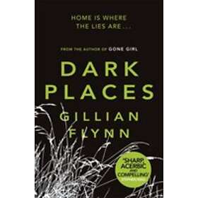 Gillian Flynn: Dark Places