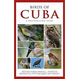 Arturo Kirkconnell, Patricia E Bradley, Yves-Jacques Rey-Millet: Photographic Gu