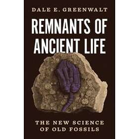 Dale E Greenwalt: Remnants of Ancient Life