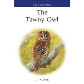 Mr Jeff Martin: The Tawny Owl
