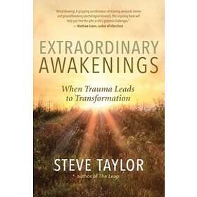 Steve Taylor: Extraordinary Awakenings