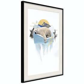 Artgeist Poster Affisch Polar Bear [Poster] 30x45 A3-DRBPRP0585m_cr_pp