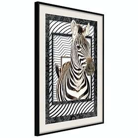 Artgeist Poster Affisch Zebra [Poster] 40x60 A3-DRBPRP0515l_cr_pp