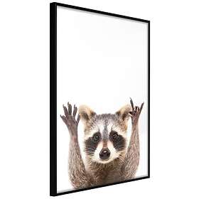 Artgeist Poster Affisch Raccoon [Poster] 40x60 A3-DRBPRP0413l_cr