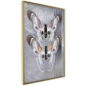 Artgeist Poster Affisch Couple Butterfly [Poster] 40x60 A3-DRBPRP0940l_zr