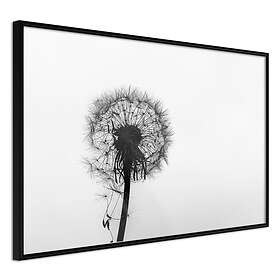 Artgeist Poster Affisch Loneliness [Poster] 30x20 A3-DRBPRP0058s_cr