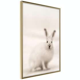 Artgeist Poster Affisch Fearful Look [Poster] 40x60 A3-DRBPRP1715l_zr