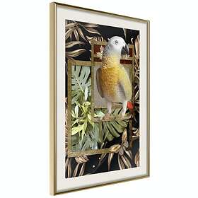 Artgeist Poster Affisch Golden Parrot [Poster] 40x60 A3-DRBPRP0514l_zr_pp