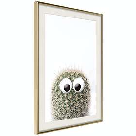 Artgeist Poster Affisch Cactus With Eyes [Poster] 20x30 A3-DRBPRP0605s_zr_pp