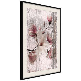 Artgeist Poster Affisch Memorial Magnolia [Poster] 40x60 A3-DRBPRP0968l_cr_pp