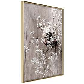 Artgeist Poster Affisch Dried Flowers [Poster] 20x30 A3-DRBPRP0406s_zr